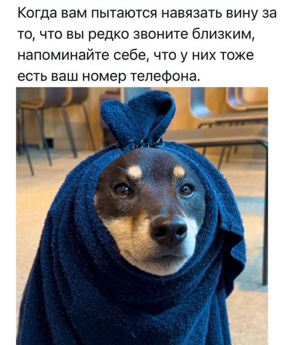 Купил самоклеящиеся обои. Сижу. Жду 