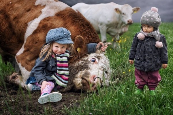 Яркие и красочные фотографии из сети приколы,смешные картинки,угарные фотки,фото приколы