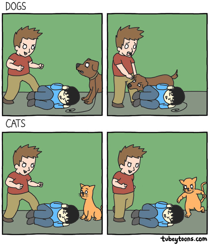 Funny Cats Vs. Dogs Comics