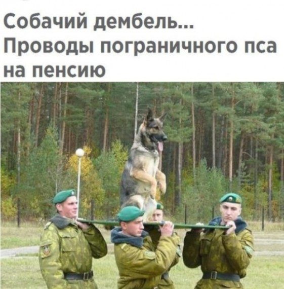 Новые смешные картинки дня!