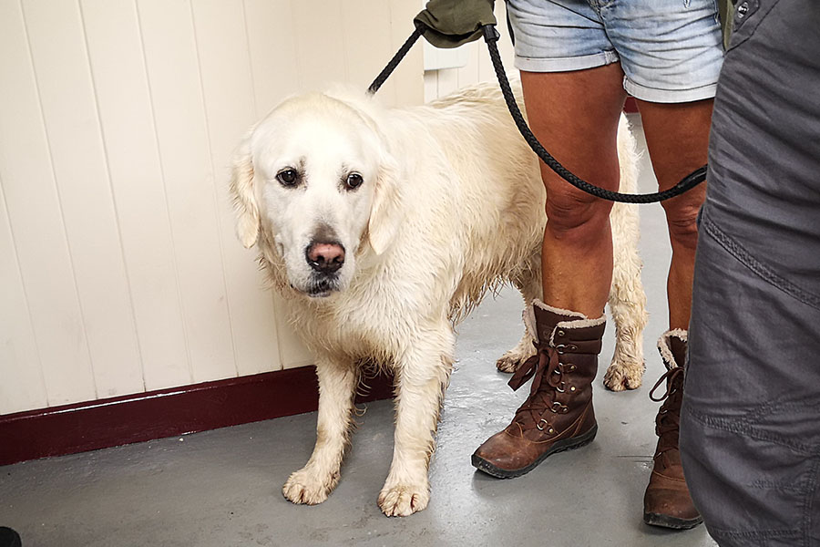 Ради чего стоит побывать в городке Баббакомб  авиатур