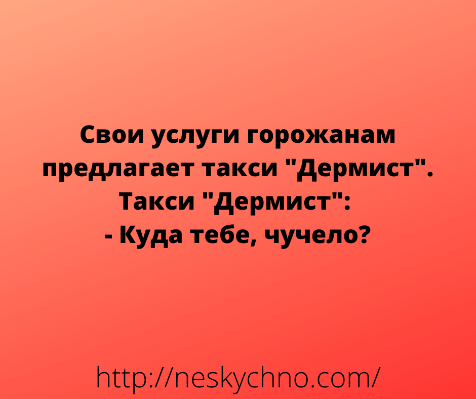 Немного свежих анекдотов для хорошего настроения 