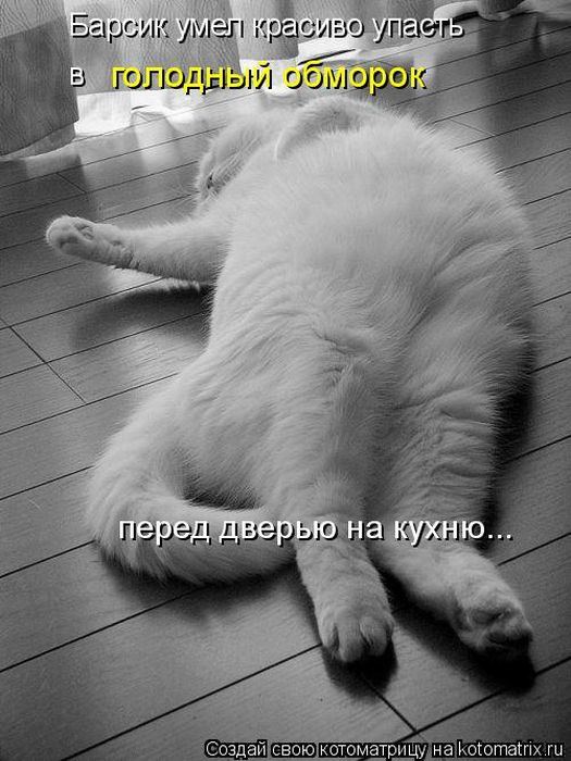 Мысли вслух :)