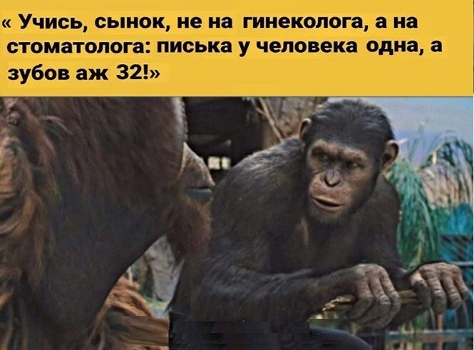 Смешные и познавательные картинки