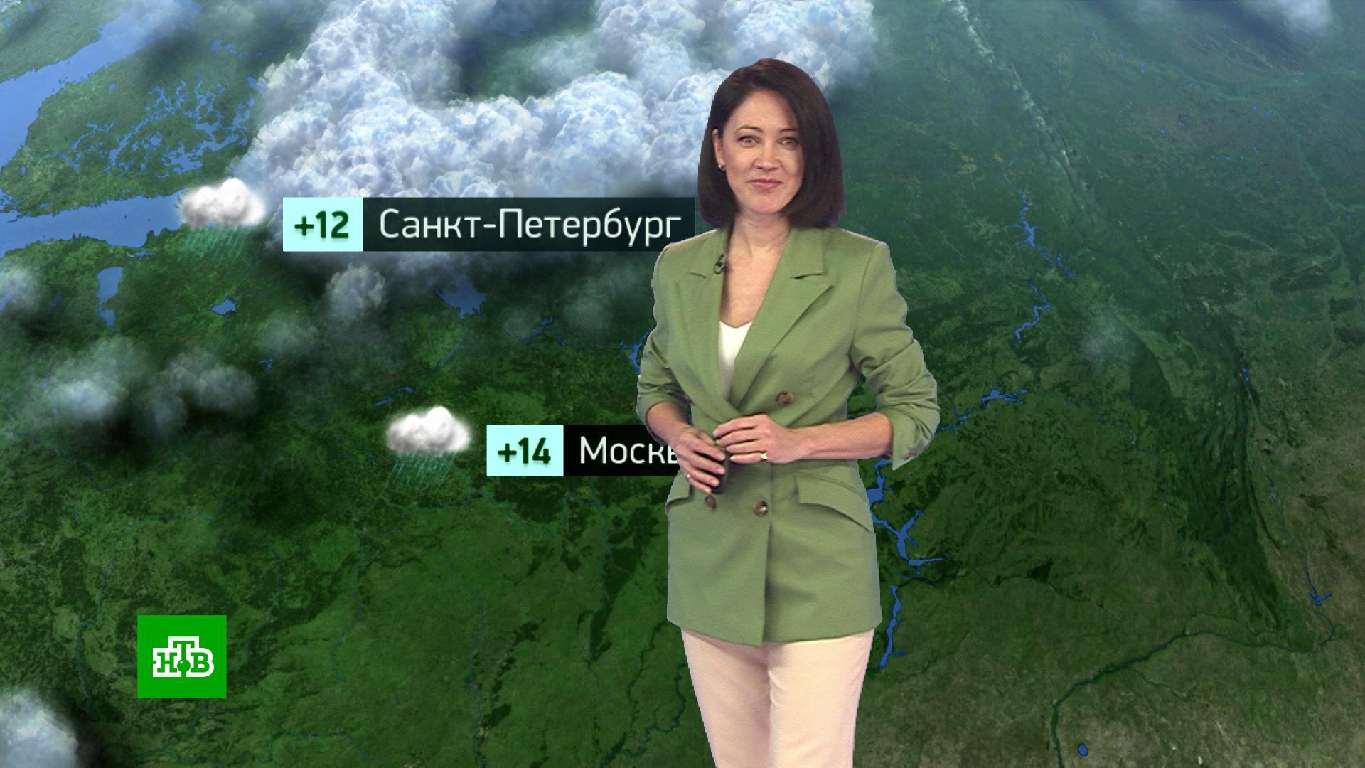 Полякова нтв