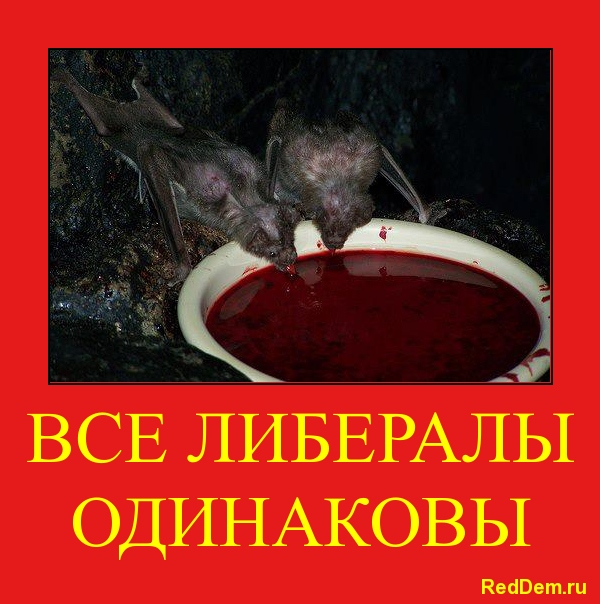Чем либералы превзошли гитлеровцев (Делягин - "мы мясо, которое подлежит разделке") Чем либералы превзошли гитлеровцев (Делягин - "мы мясо, которое подлежит разделке")