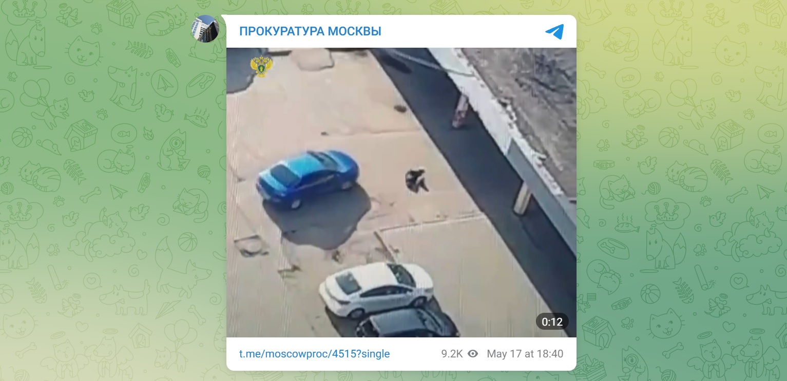 В Москве лежащую на парковке пенсионерку насмерть переехала машина