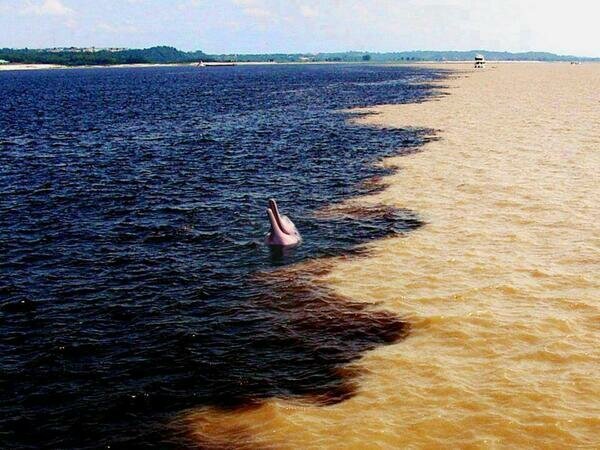 Любопытные фотографии, доказывающие, что мир полон вещей, не перестающих удивлять Любопытные фотографии, доказывающие, что мир полон вещей, не перестающих удивлять