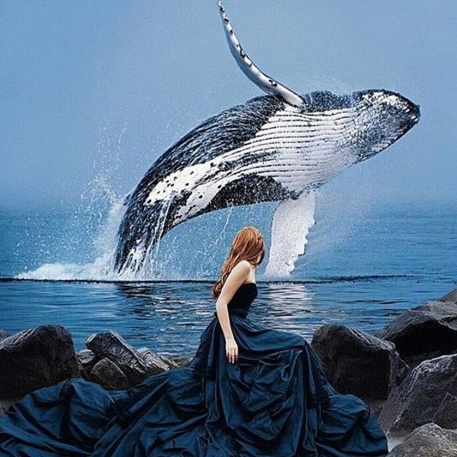 Фотосессия с китами