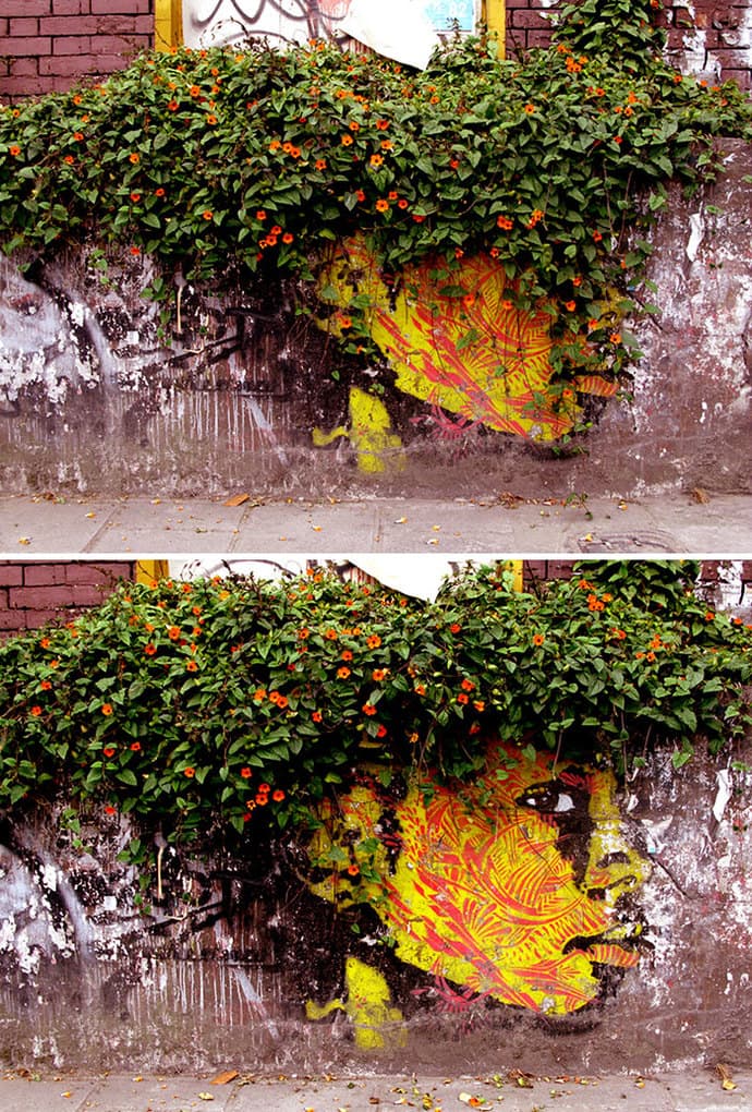 Nature Street Art