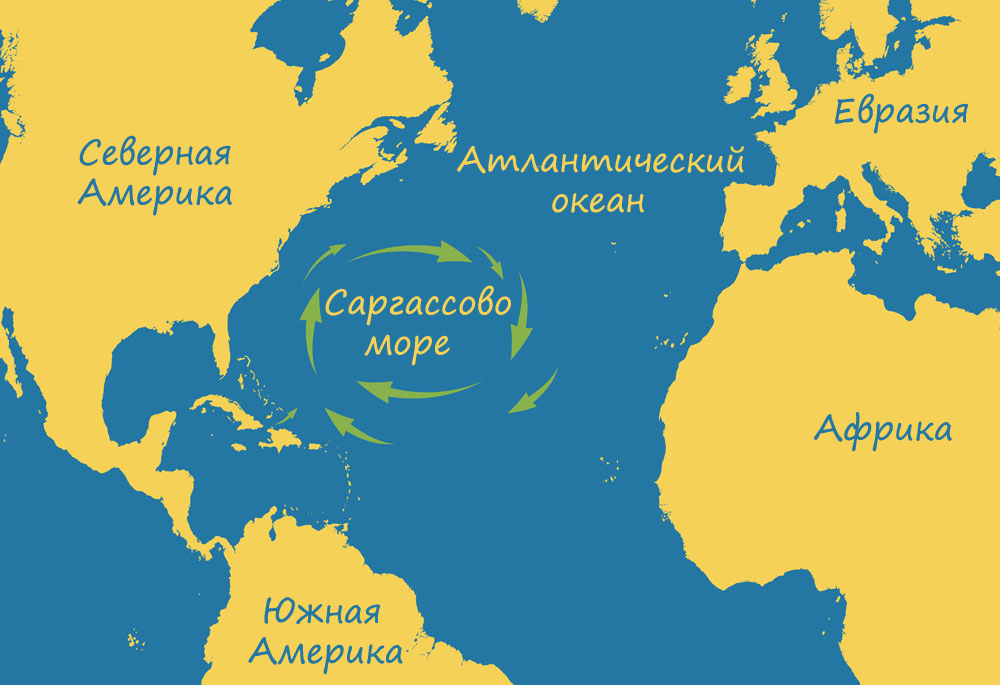 Саргассово море — единственное в мире море, не имеющее берегов география,интересное,море