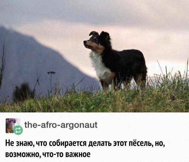 Самые лучшие клевые картинки Самые лучшие клевые картинки