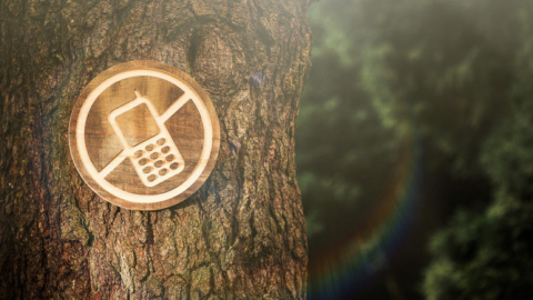 Смартфон на помойку. Почему отказываться от гаджетов — модно? гаджеты,интересное,мир,смартфоны,технологии