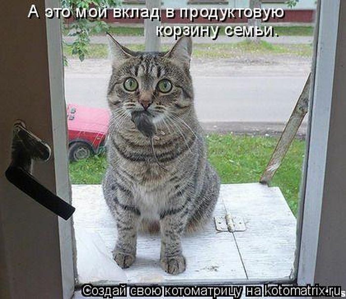 Мысли вслух :)
