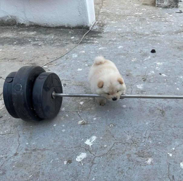 Подборка картинок. Вечерний выпуск Подборка картинок. Вечерний выпуск приколы,смешные картинки,юмор
