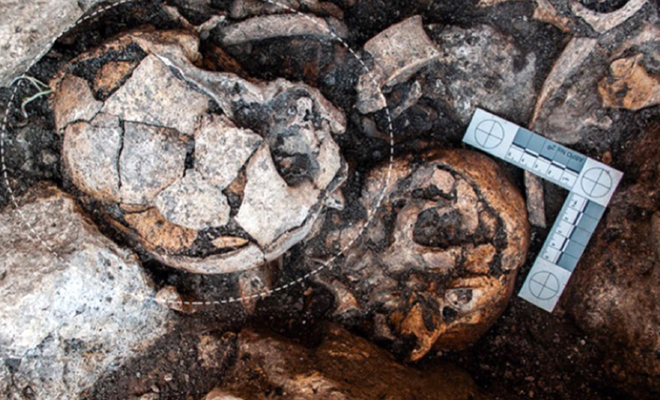 Археологи нашли поселение людей возрастом 5300 лет и обнаружили, что им кто-то делал медицинские операции Культура