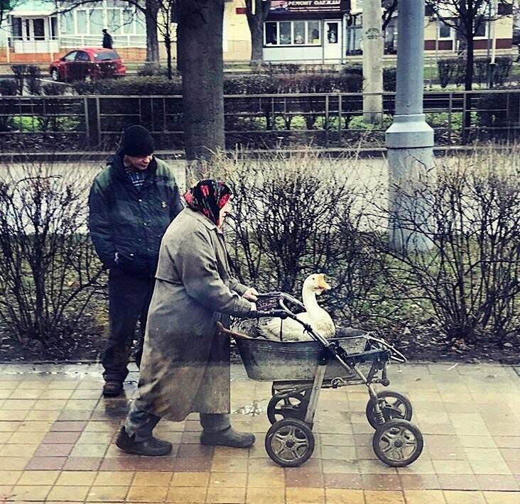 Юмор выходного дня юмор