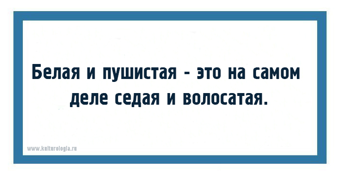 15 забавных открыток-наблюдений для неисправимых оптимистов