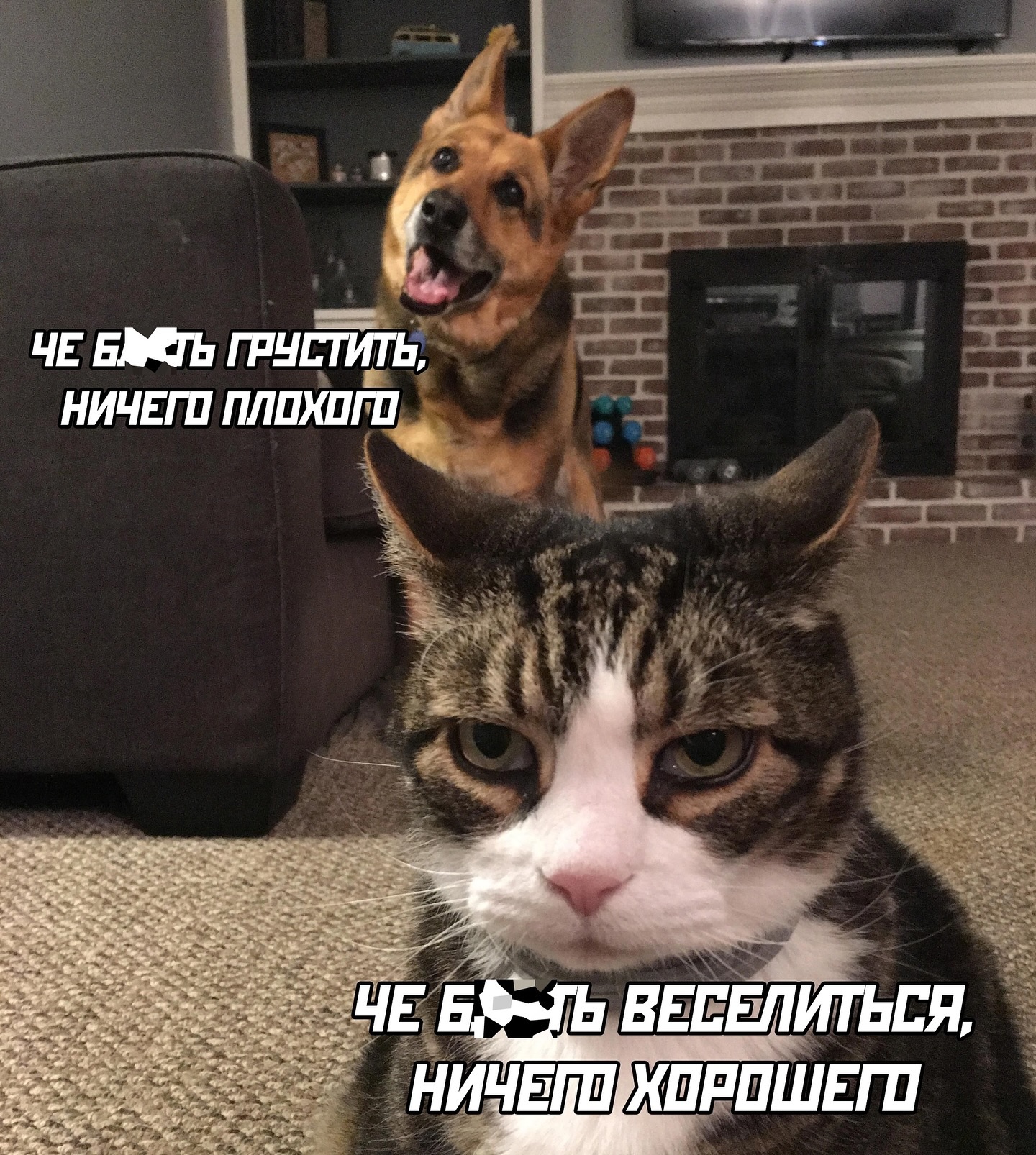 Лень в молодости - это здоровье в старости Лень в молодости - это здоровье в старости