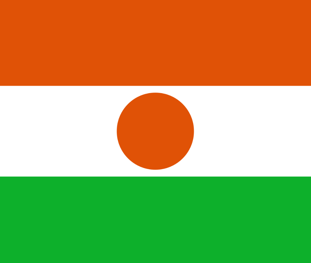 Нигер. Президентская Республика. Площадь 1 267 000 км² .  Население ок. 23 млн человек. Столица Ниамей