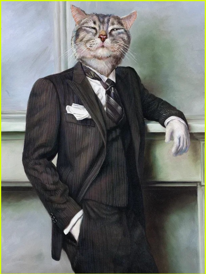 Котик на час