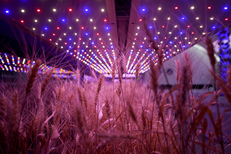 Китай построил марсианскую базу в пустыне Гоби Китай построил марсианскую базу в пустыне Гоби «mars base 1»,китай,космос,Марс