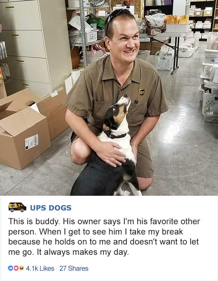 ups-dogs-facebook-group-drivers-meet-routes-sean-mccarren-07