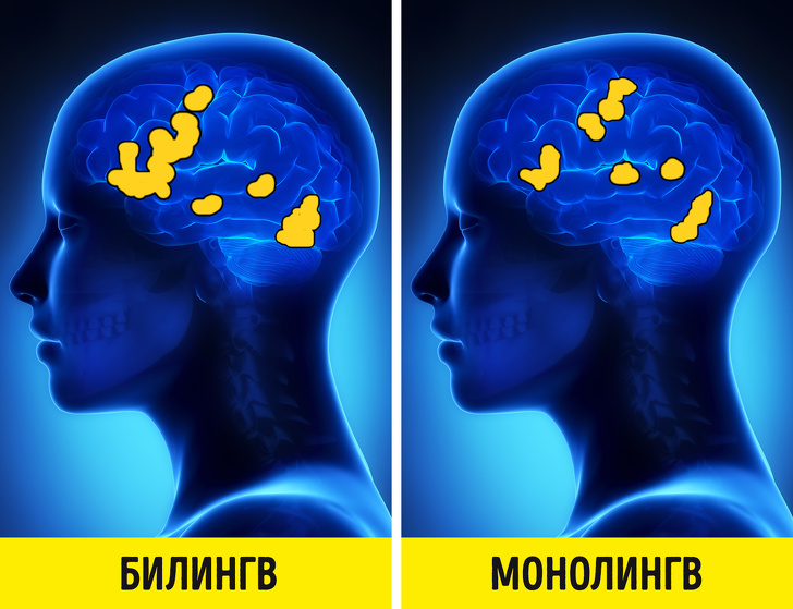 Билингв. Билингвизм. Билингвистический мозг. Билингвизм мозг. Билингвизм у детей.