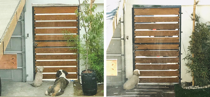 18 фото про одиночество, героев которых хочется срочно обнять (И весь мир заодно) 18 фото про одиночество, героев которых хочется срочно обнять (И весь мир заодно) интересное