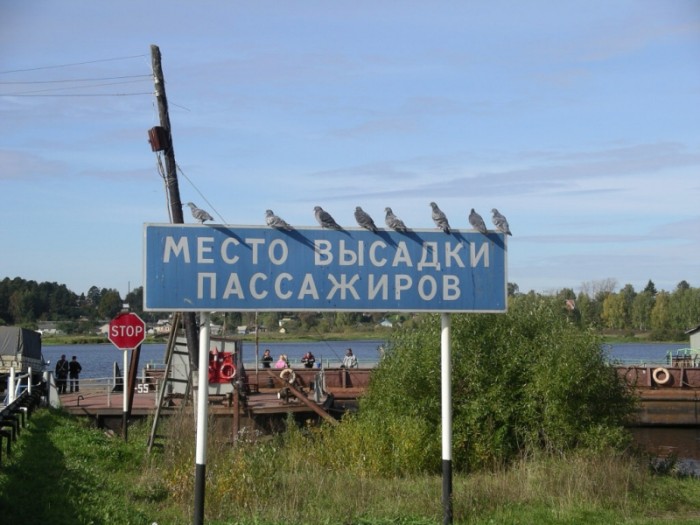 Давайте улыбаться вместе :)