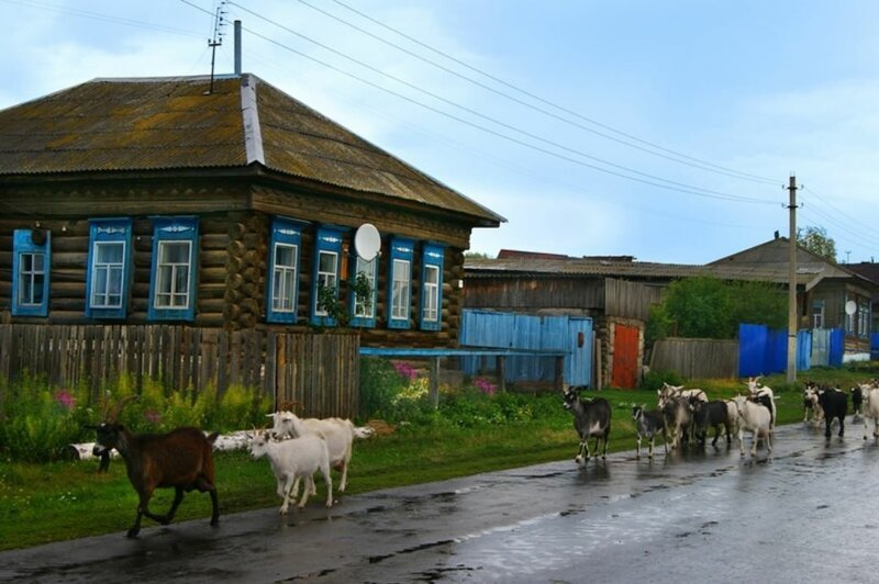 Фотографии, которые отправят нас на минутку в детство, к бабушке и дедушке в деревню позитив