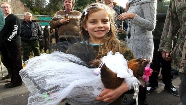 Самые странные и безумные соревнования со всего мира курьезы,соревнования