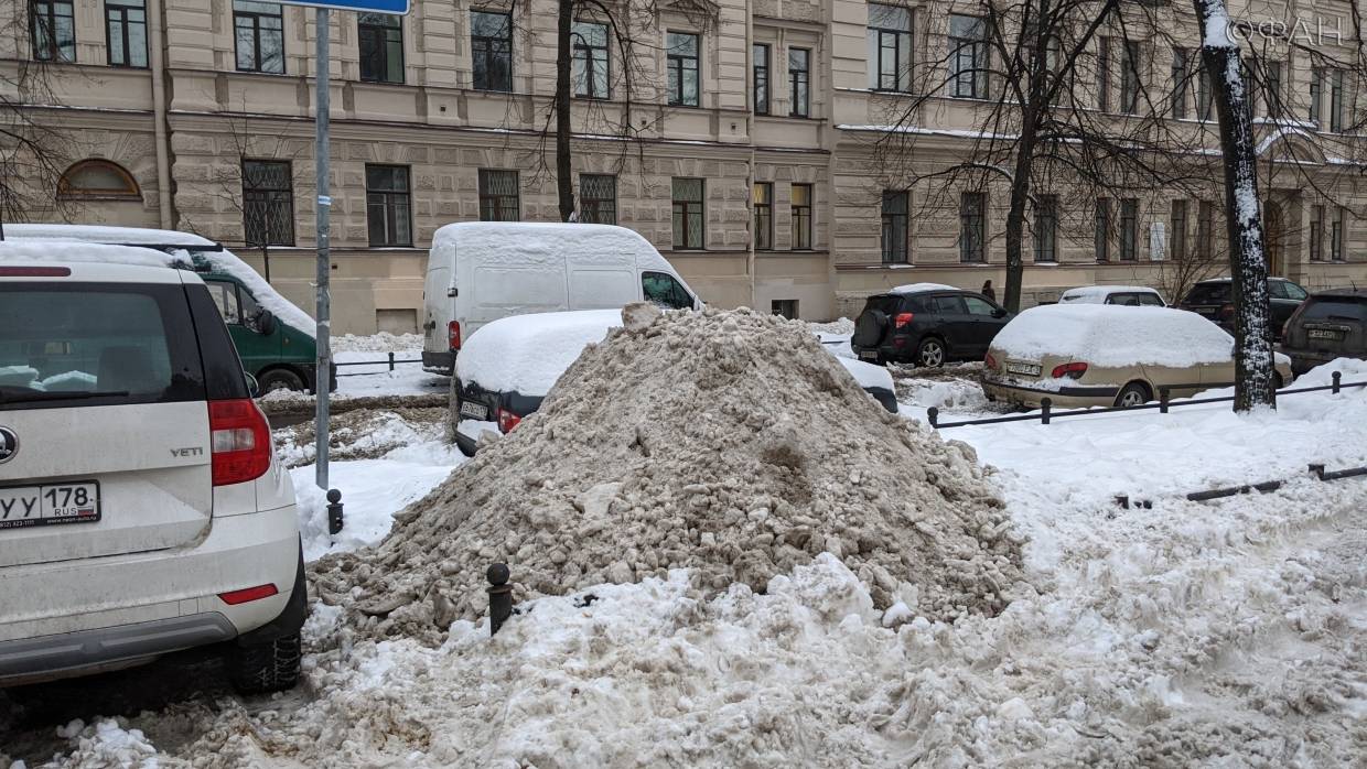 Почему власти Петербурга оправдывают медленную уборку снега заботой об экологии