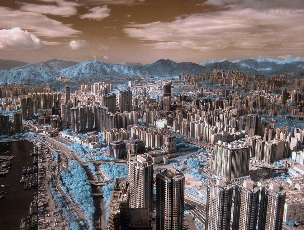 Лучший садово-парковые фотографии фотографии