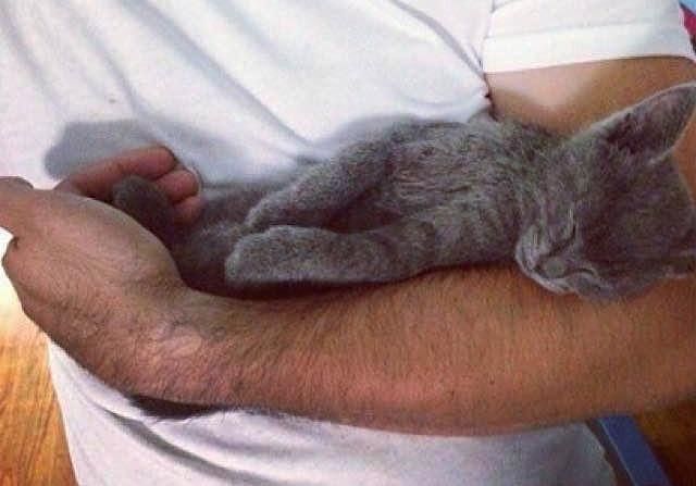 Он снял её с крыши дома, где она лежала под проливным дождем. Только посмотрите, какая красотка выросла! Он снял её с крыши дома, где она лежала под проливным дождем. Только посмотрите, какая красотка выросла! картинки