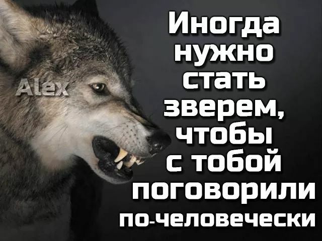 Объявление. Ищу братьев по разуму с других планет. С местными договориться никак не удаётся дядька, Фермер, глаза, 4910 , питания1250Итого, любого, использования, галоген150Системы, гудок135Голубые, отучить, передние400Многотональный, задние, система, тормозная, копыта100Двухконтурная, вседорожные, Чтобы, лазить, маленькую, мужем