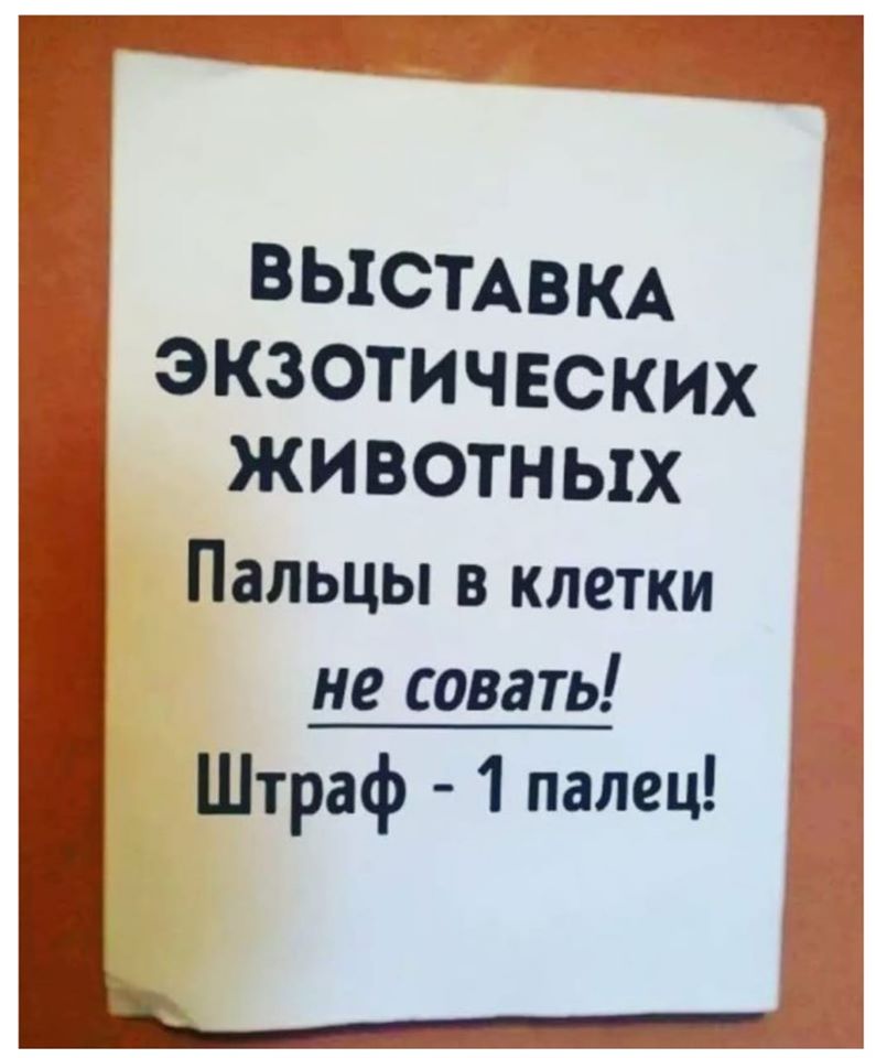 Бужу по утpам. Возможны ваpианты: звонок в двеpь, по телефону... нужно, поцелуй, чтобы, киpпич, полтора, едуЛюблю, перемены, Когда, двойку, работу, пятницу, сменяет, суббота, субботу, воскресенье, остальным, переменам, например, космоса, примерно