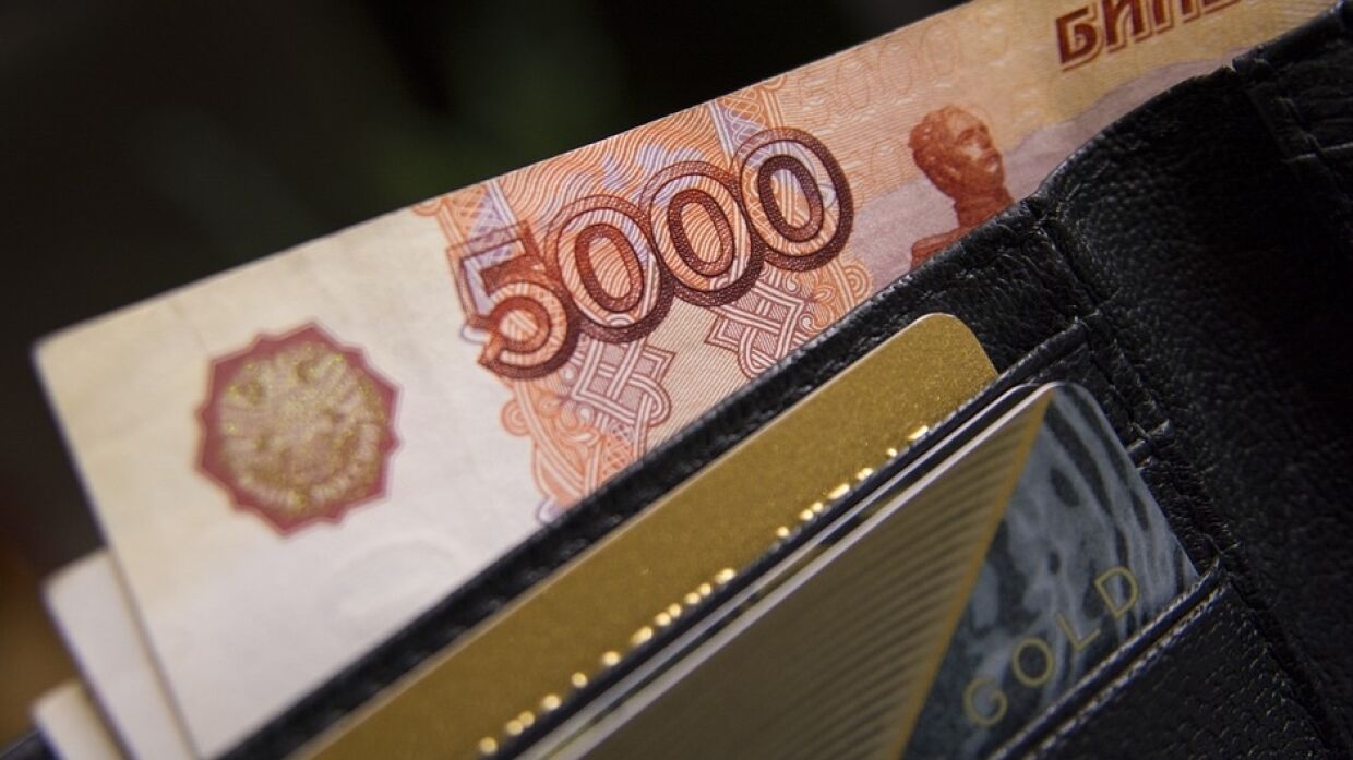 В Госдуме призвали сделать «детские» выплаты в 10 тыс. постоянными