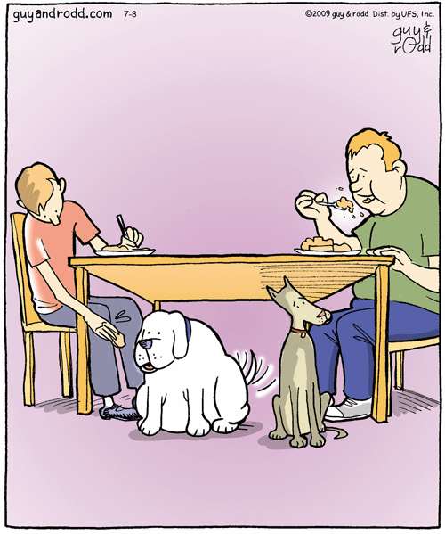 Смешные картинки, весь юмор которых поймут только собачники. Выпуск 1 Смешные картинки, весь юмор которых поймут только собачники. Выпуск 1 comedy pet photography,конкурс,evergreen,format-article,noindex,Развлечения