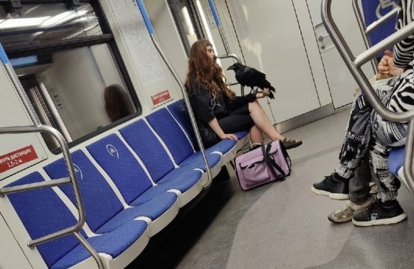 Модники и чудаки из метро Модники и чудаки из метро позитив,смешные картинки,юмор