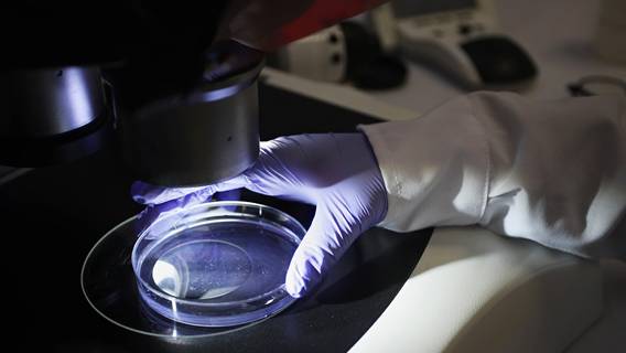 Американская разведка подготовила проект отчета о происхождении Covid-19