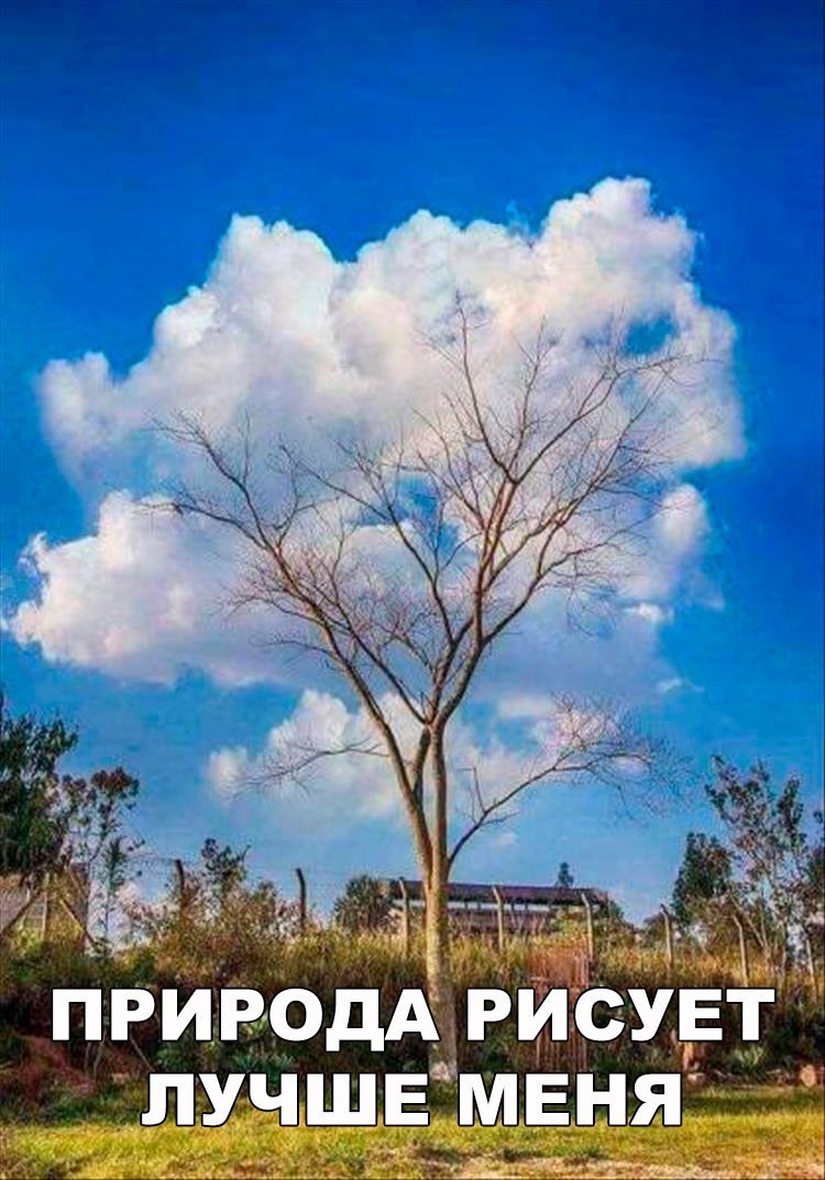 Смешные картинки с надписями прикол, юмор