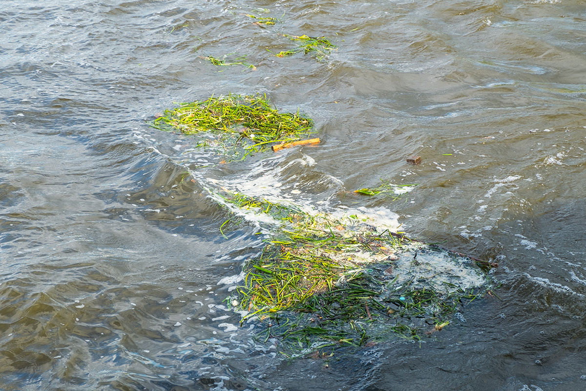 Уровень воды в реке Тобол у Кургана составил 970 сантиметров