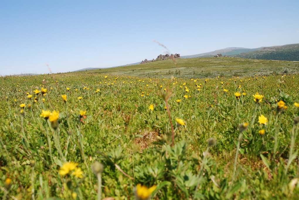 Северный Урал. По стране каменных городов Северный Урал. По стране каменных городов природа