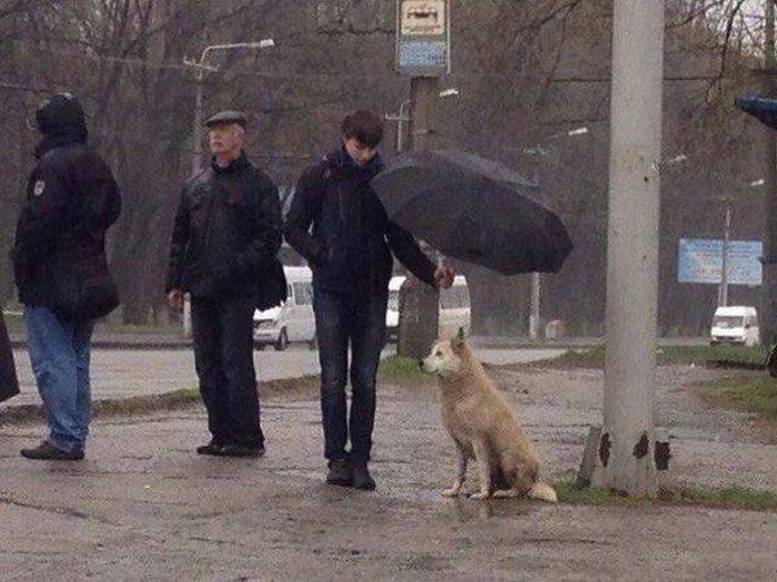 Свежие картинки и позитивные фотографии для настроения (10 фото)