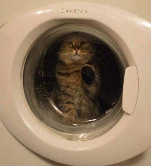 Новые забавные картинки