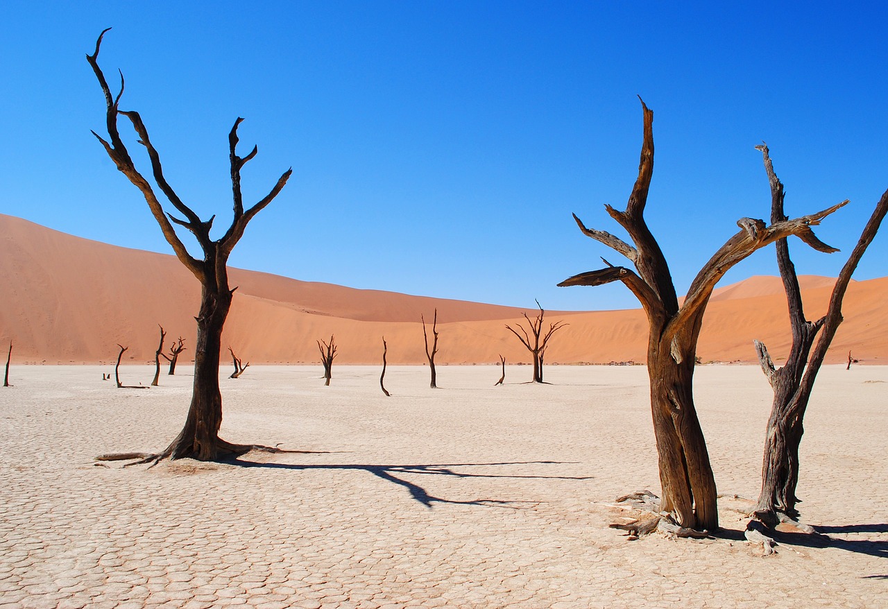 deadvlei-2011373_1280