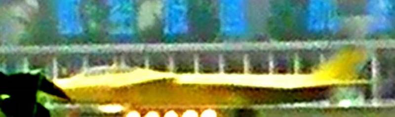 Двуглавый «Орел»: Зачем Китаю новый истребитель на базе J-20 Двуглавый «Орел»: Зачем Китаю новый истребитель на базе J-20 ввс