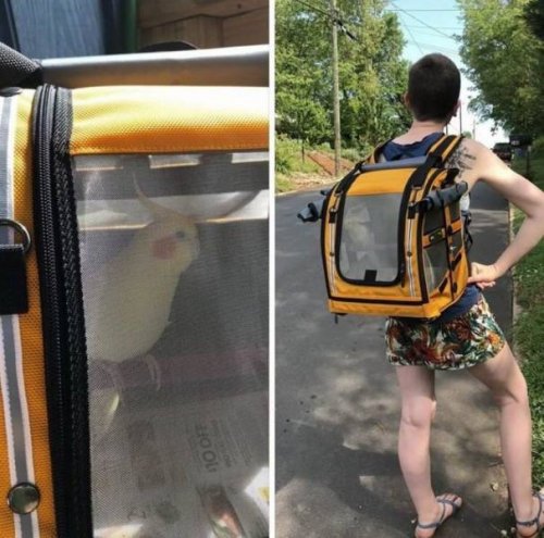 Веселые картинки и фото-приколы Веселые картинки и фото-приколы