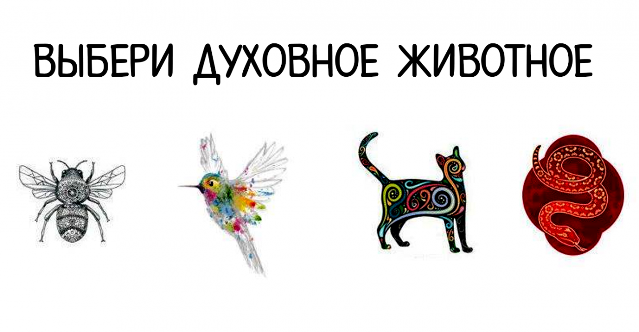 Духовный питомец. Тест выбери животное. Тест выбери тотемное животное. Психологический тест выбрать из животных. Психологический тест выберите животное.